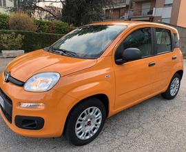FIAT NEW PANDA 1.2 69cv Easy S&S