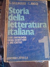 Libri letteratura 
