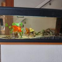 Acquario 100x30x44cm