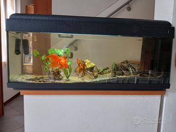 Acquario 100x30x44cm