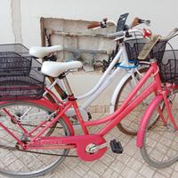 Bici tecnobike tipo Olanda