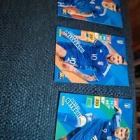 figurine panini Adrenalyn XL