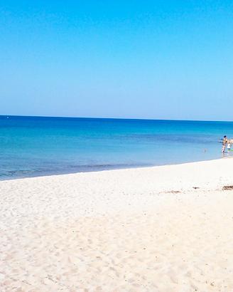 Beach House 1 Specchiarica Salento 100m spiaggia