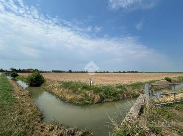 TER. AGRICOLO A TREVENZUOLO
