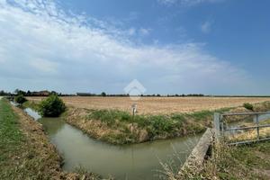 TER. AGRICOLO A TREVENZUOLO