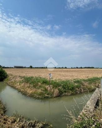TER. AGRICOLO A TREVENZUOLO