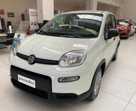 Fiat Panda 1.0 FireFly S&S Hybrid - KM ZERO FIAT I