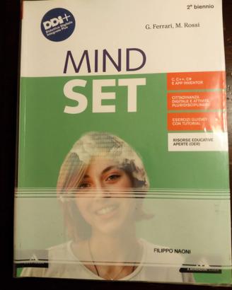 Libro informatica: Mindset - 9788824799478