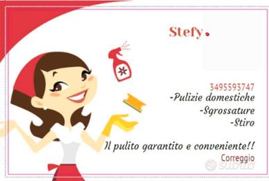 Servizio di pulizie