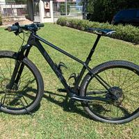 Mtb front  29  - touring  telaio in carbonio