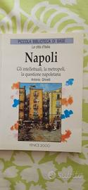 Libro- Napoli