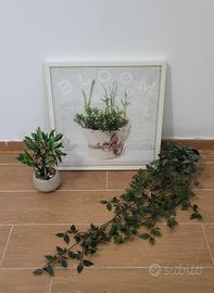 SET Stampa su tela e Piante artificiali
