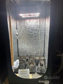 Kit grow box