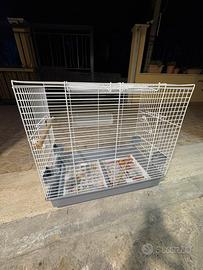 Gabbia per pappagalli