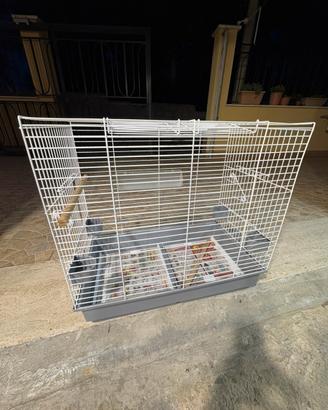 Gabbia per pappagalli