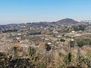 lanuvio-terreno-panoramico-edificabile