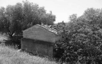 Immobile in asta di 40586 m² a Ramacca