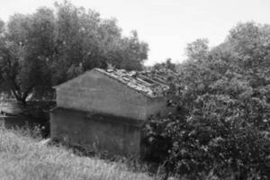 Immobile in asta di 40586 m² a Ramacca