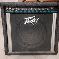 amplificatore peavey envoy 110