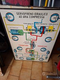 poster anni 60 scuola guida