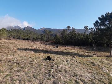 Terreno per attività all'aperto comune di Genova