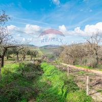 Terreno - Piazza Armerina