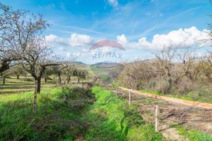 Terreno - Piazza Armerina