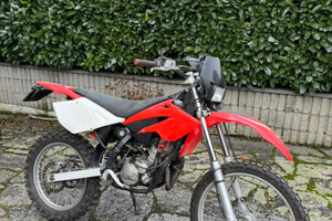 Beta rr 50 2009