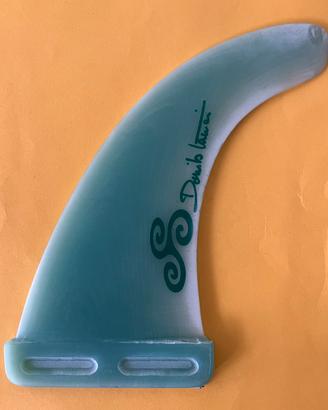 Pinne Windsurf