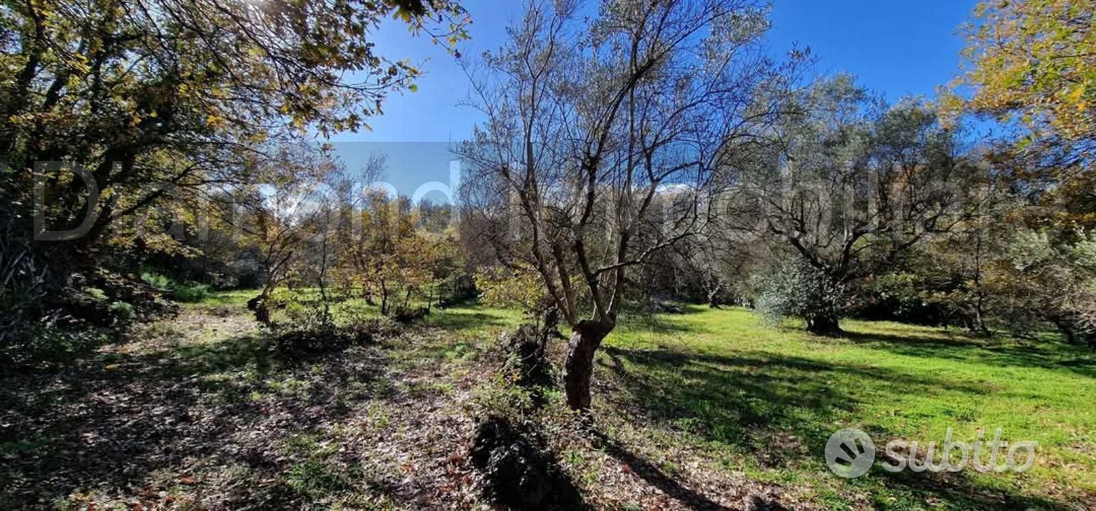 Terreno con rustico a Castiglione di Sicilia - Vista 4