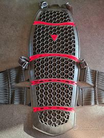 Paraschiena Moto Dainese - Pro-Armor Back 2.0