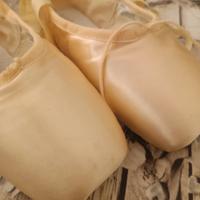 punte danza classica Bloch 39.5