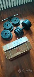 Coppia di manubri da 10 kilogrammi l'uno.