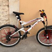 Bici da enduro 