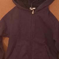 Polo North Sales 