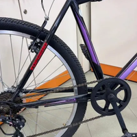 Top Gear Forester in bicicletta