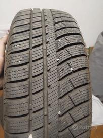 Gomme tre mesi di vita