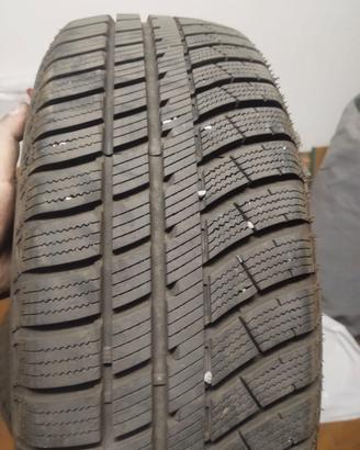 Gomme tre mesi di vita