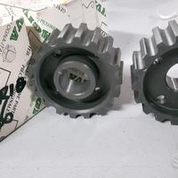 Puleggia distribuzione DUCATI 748 888 916 996