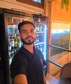 Cameriere / aiuto cameriere