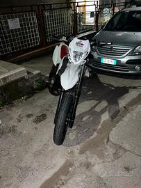 beta 50