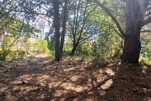 Terreno edificabile a nicolosi