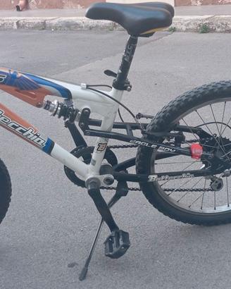 Bottecchia