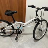 Bici Bwin