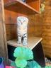 britsh-shorthair-e-scottish-fold