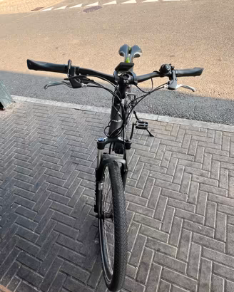 Bicicletta con pedalata assistita