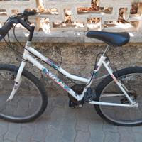 Mountain bike per bambini, ragazzini