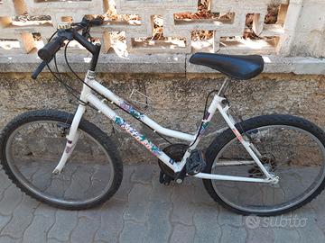 Mountain bike per bambini, ragazzini