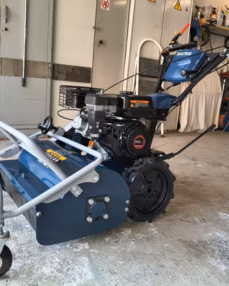 Trincia erba e sarmenti a martelli