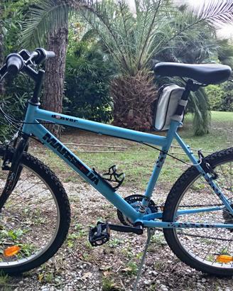 mountain bike